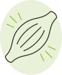 Group 1000001820 (2)